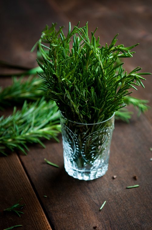 Herb garden, grow rosemary from clippings
