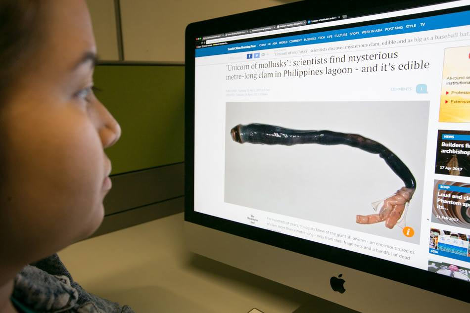 Giant shipworm