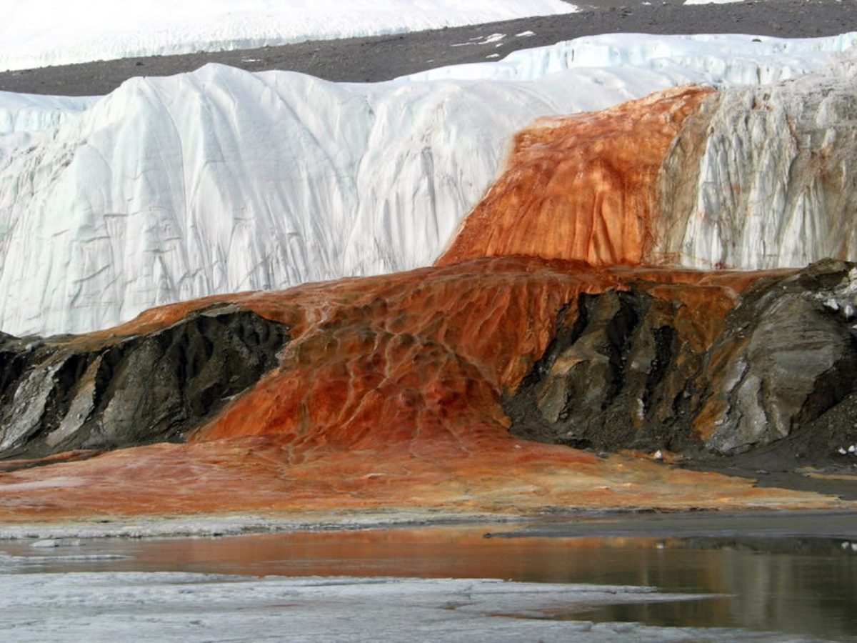 Antarctica Blood falls Mystery solved