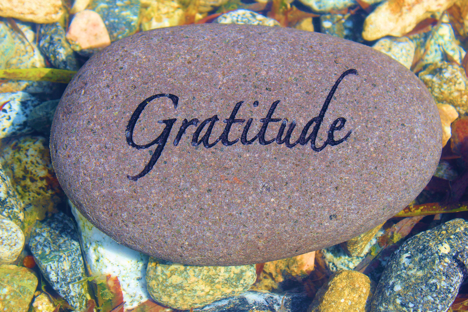 Change Your Focus towards Gratitude - life hacks for Happiness
