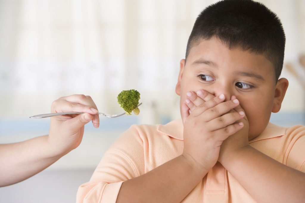 Deal Fussy Eating in Children