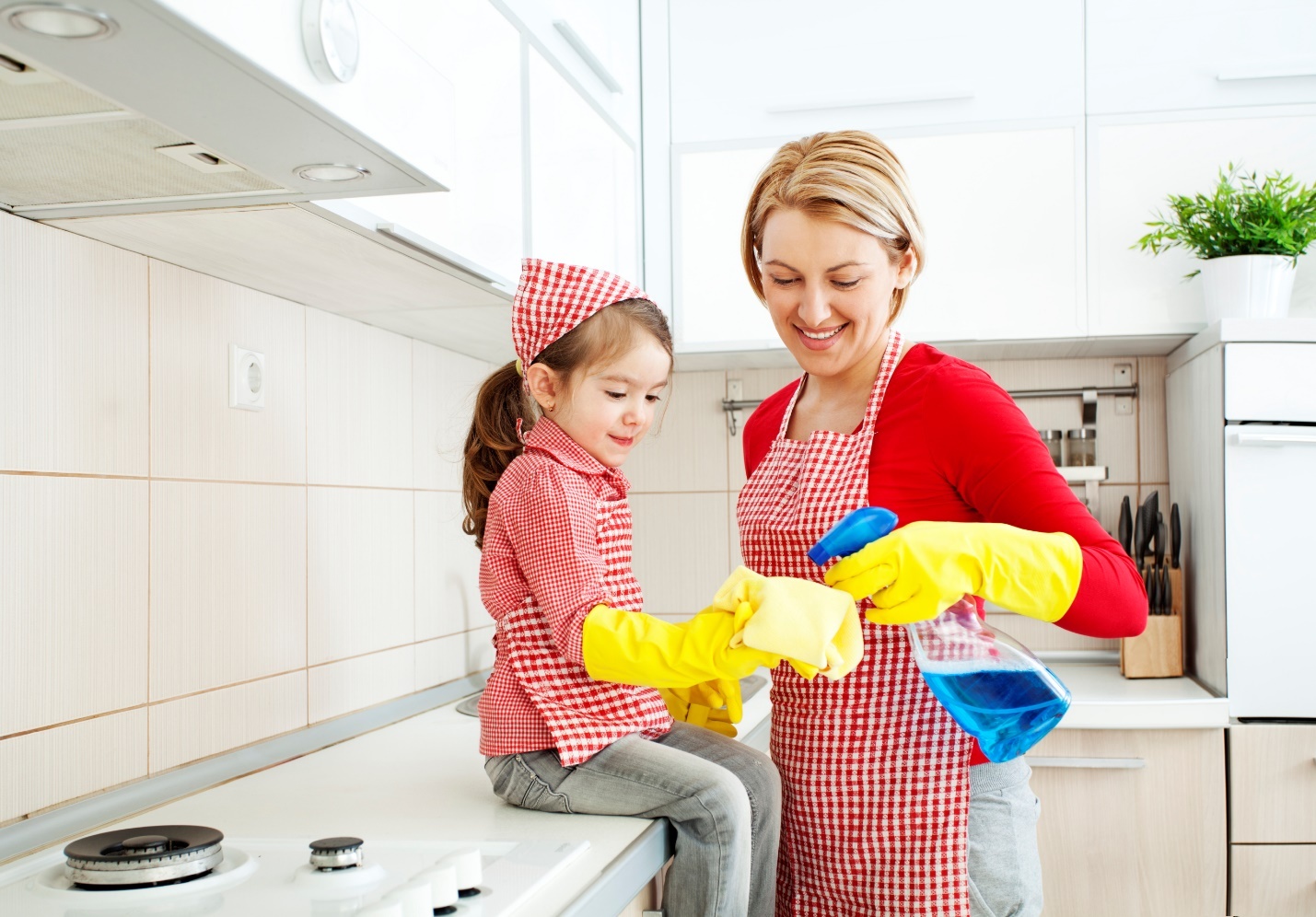 Home cleaning strategy and tips