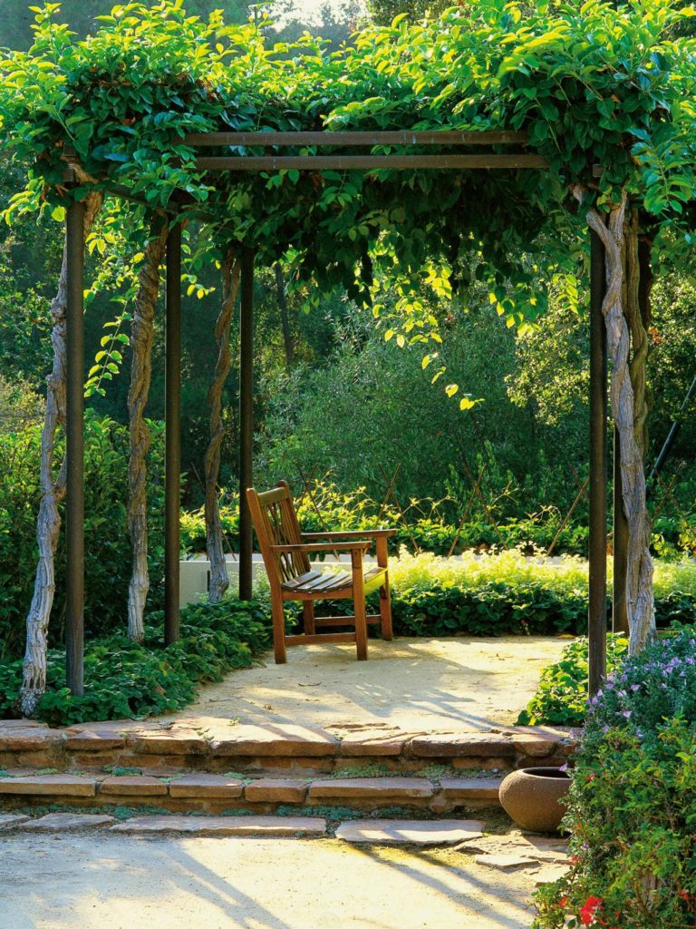 DIY Backyard Ideas to Landscape Backyard