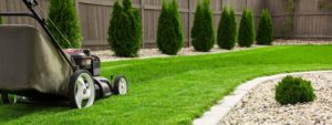 Lawn Care and Maintenance Practical Tips