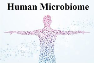 Facts About Human Microbiome
