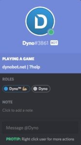 discord dyno bot